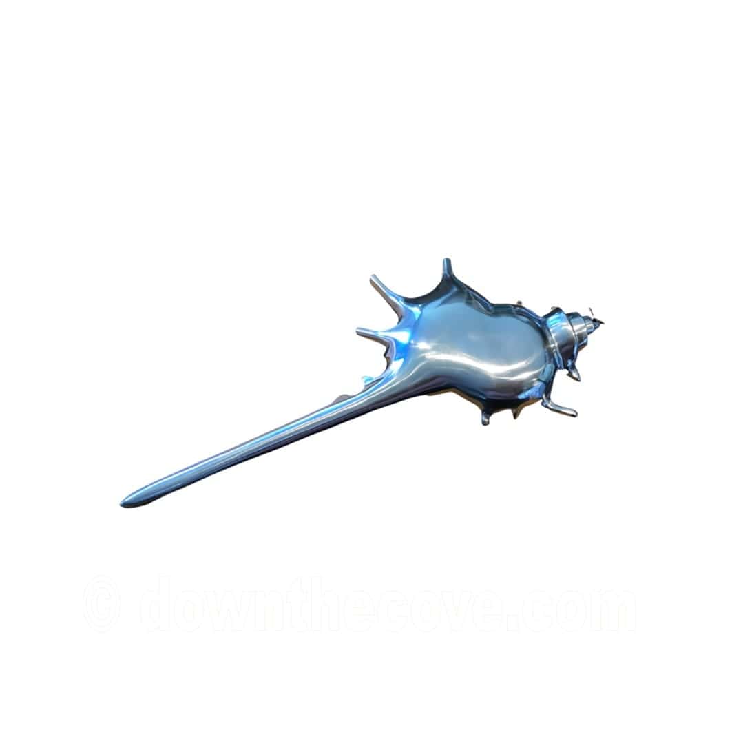 Large metal spinusus shell ornament from Down The Cove