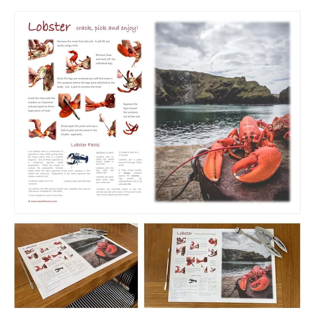 How to Eat a Lobster A3 placemat designed by Down The Cove