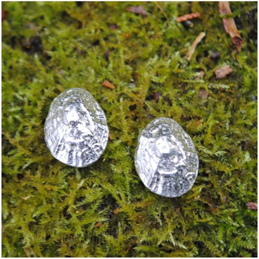 Cornish Limpet Shell Stud Earrings image 1