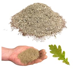Oak wood dust for cold and hot smoking, shown as a heap, in an open hand and beside an oak leaf