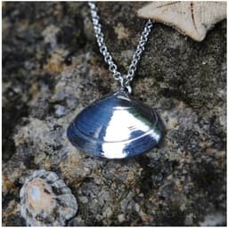 Cornish Clam Shell Pendant on a silver chain, resting on rocks with a limpet shell nearby