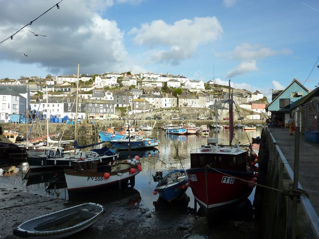 Mevagissey inline image 2