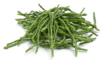 Seaweed Foraging