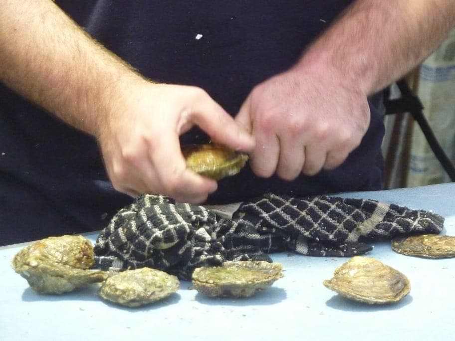 Preparing Molluscs