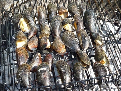 BBQ inline image 2