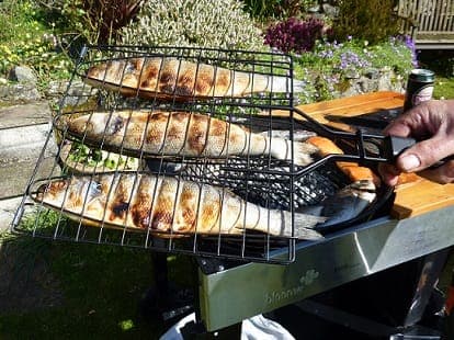 BBQ inline image 8