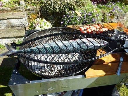 BBQ inline image 12
