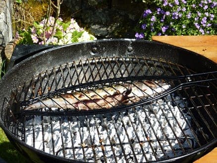 BBQ inline image 13