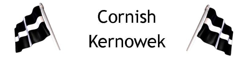 The Cornish Language