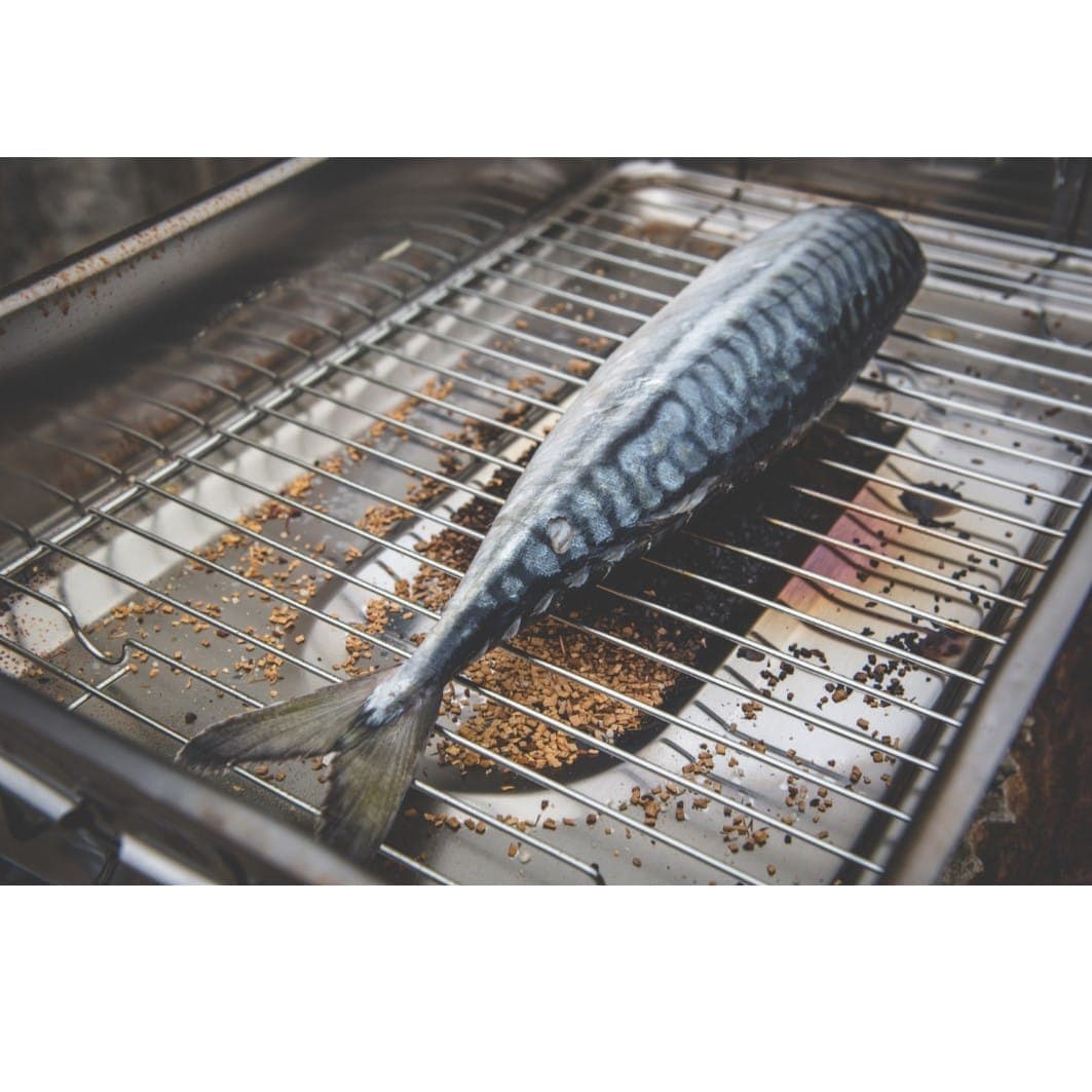 mackerel