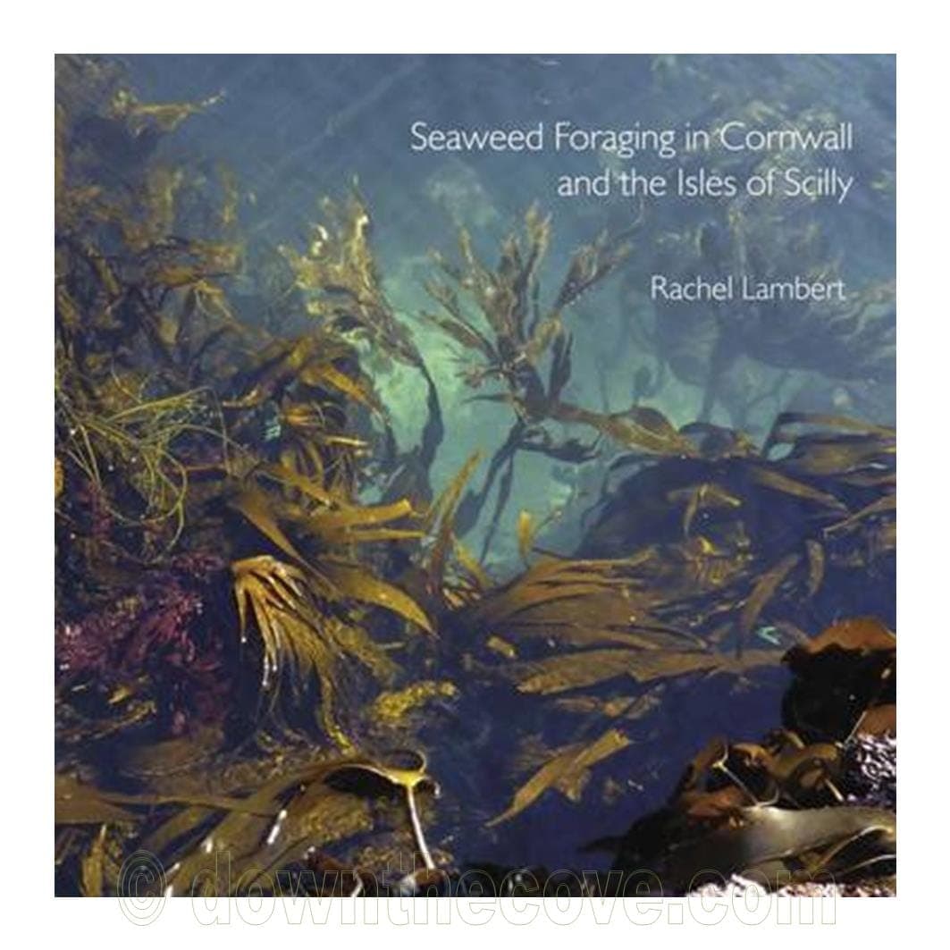 Seaweed Foraging in Cornwall Book by Rachel Lambert
