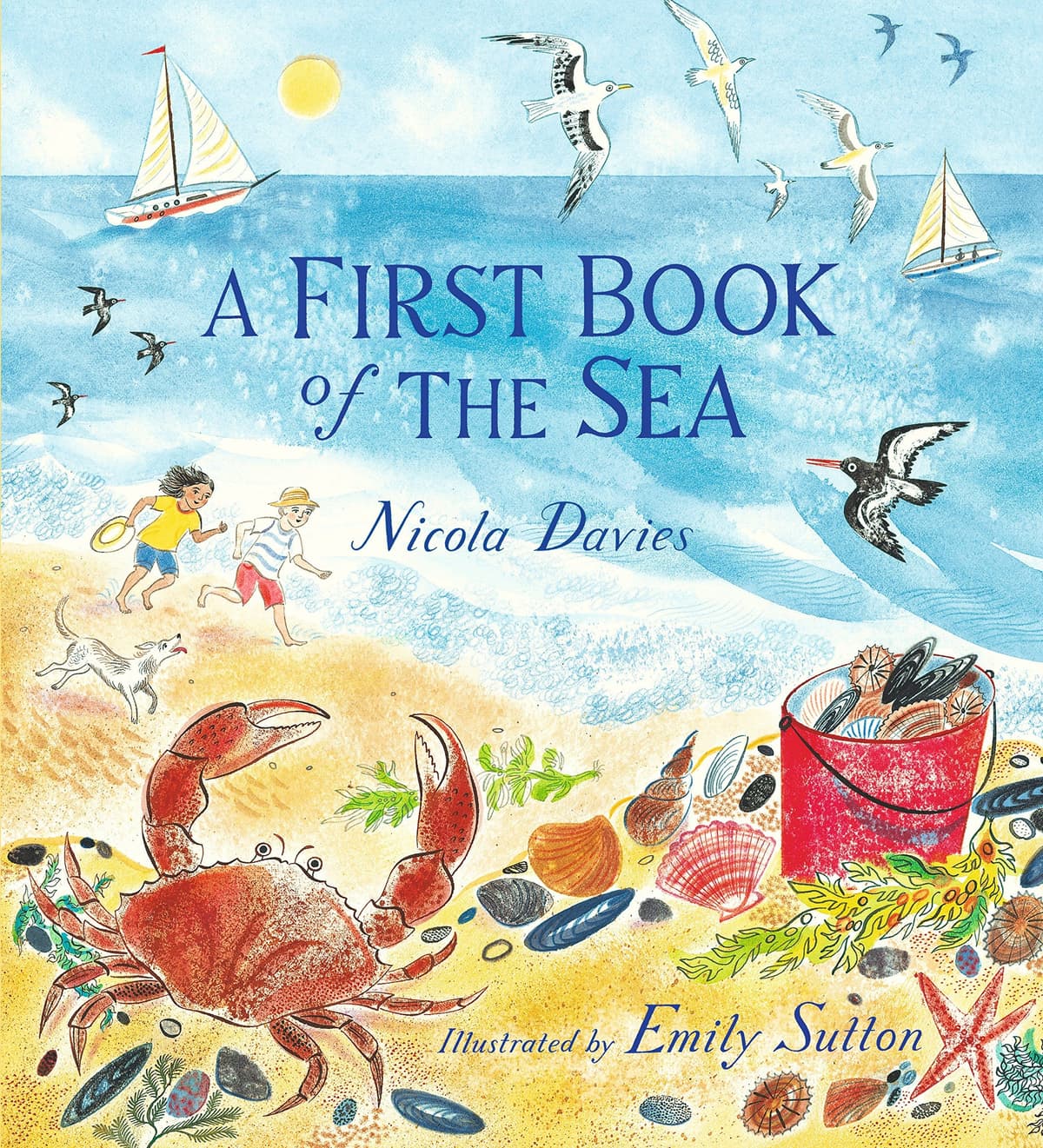 A First Book of the Sea image 1