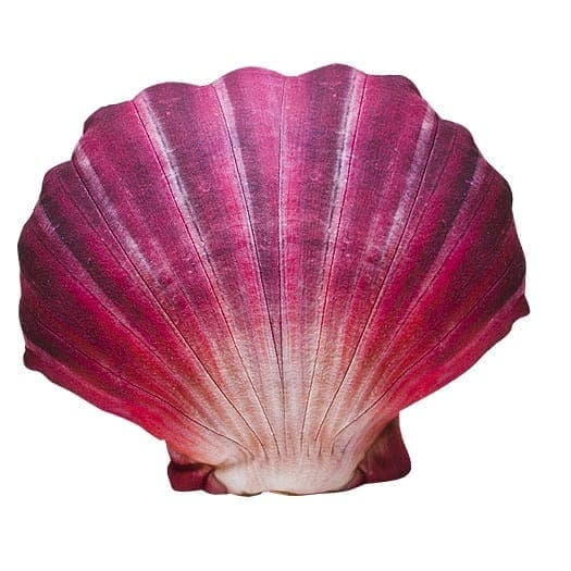 Realistic Scallop Shell Cushion 45cm image 1