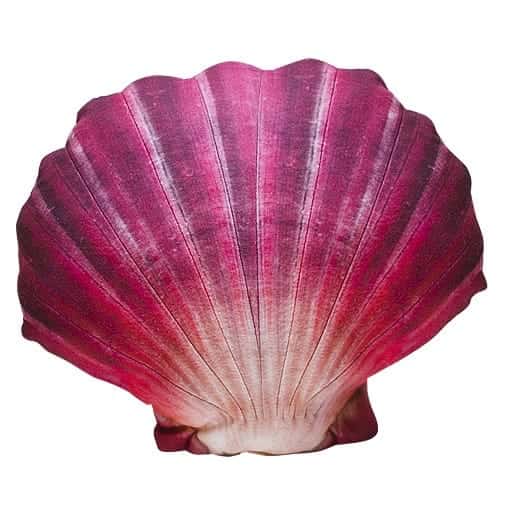 Realistic Scallop Shell Cushion 45cm image 1