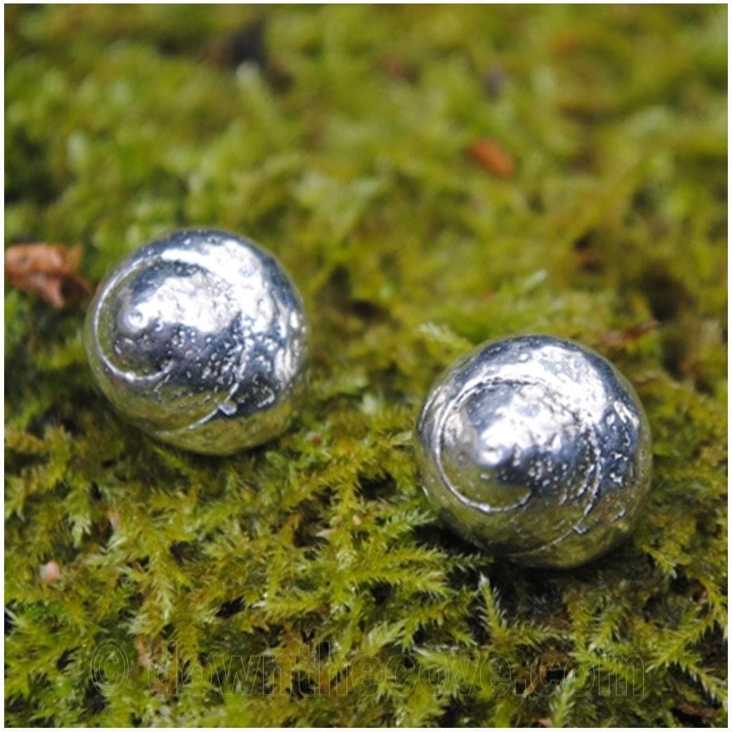 Periwinkle Shell Stud Earrings image 1