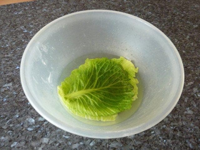 Meanwhile soak 6 cabbage leaves in boiling water to soften them