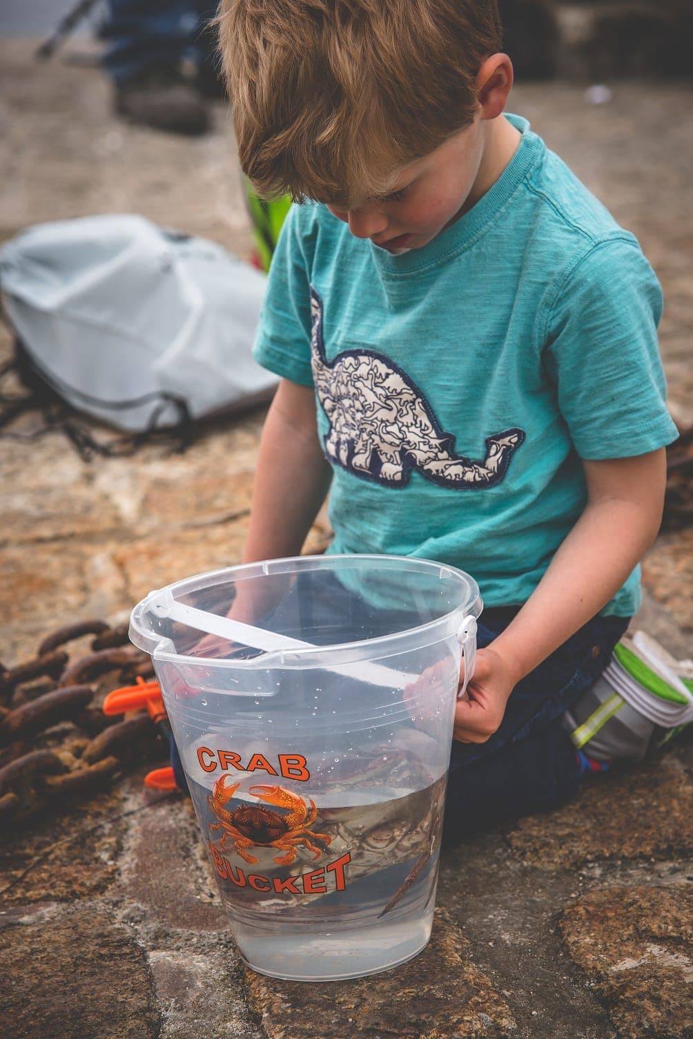 Child in a dinosaur t-shirt holding a clear crabbing bucket on rocks