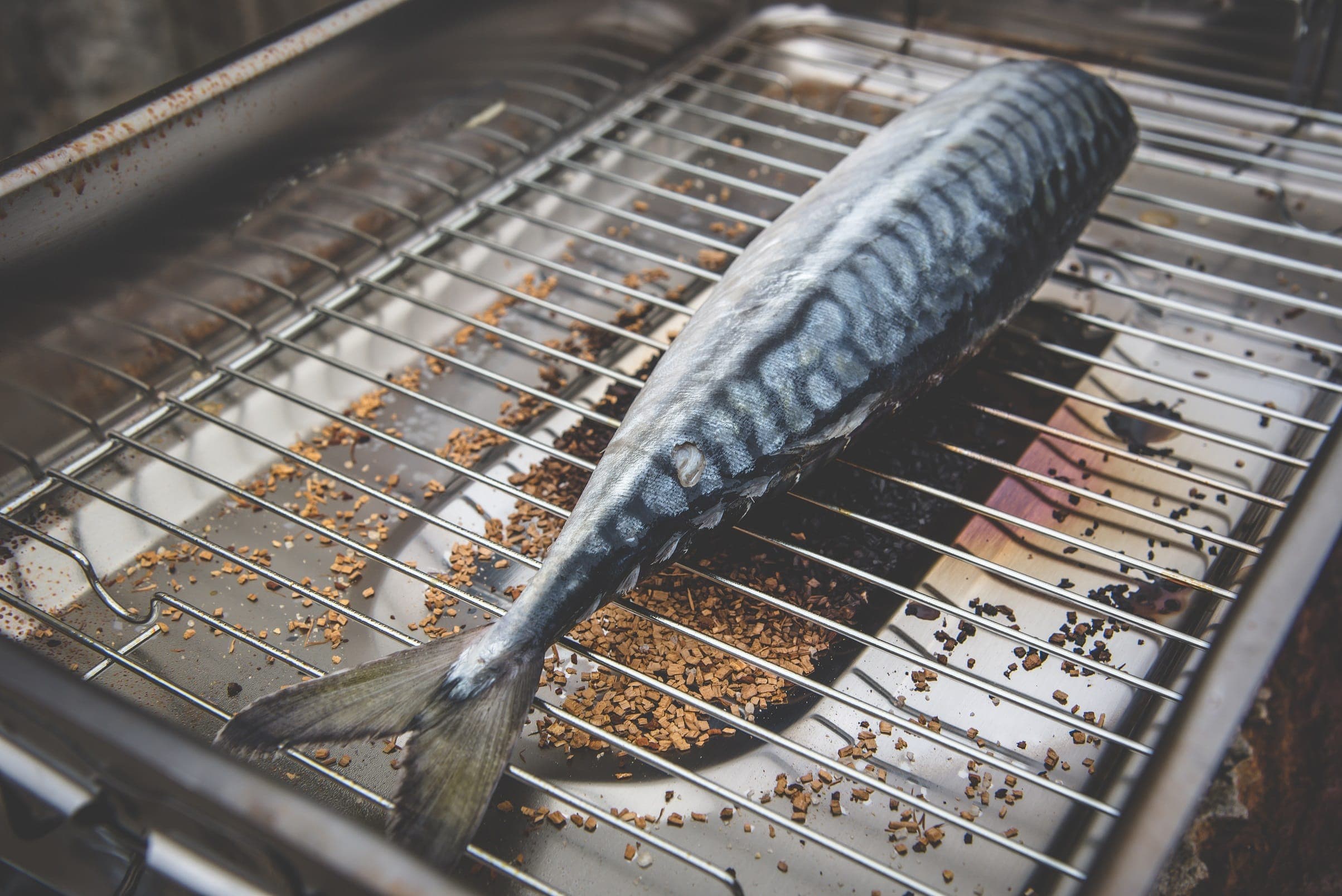 A whole mackerel on the rack of a smoking oven above a layer of wood chips