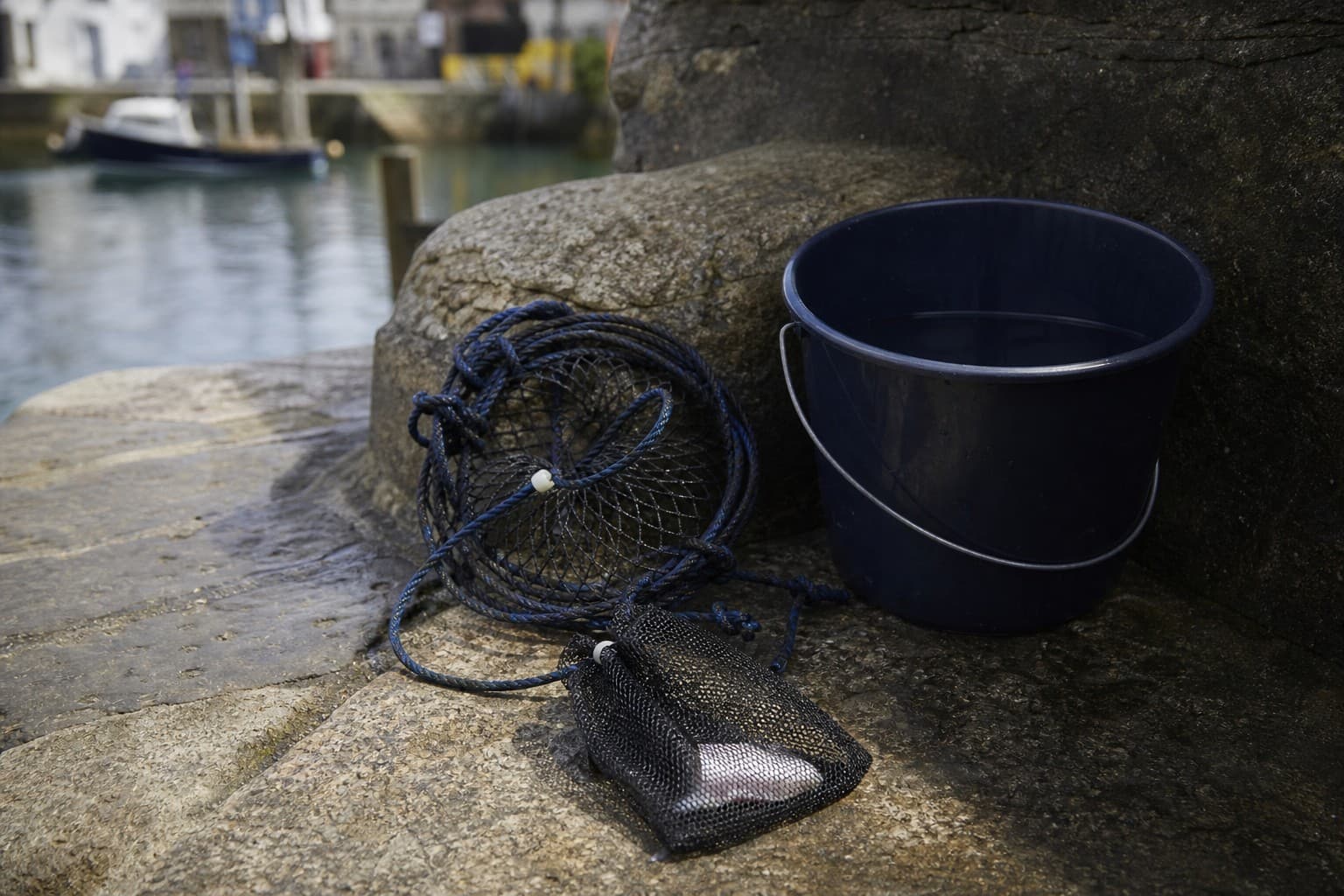 Best Bait for Crabbing in the UK