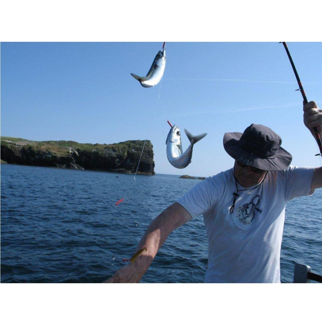 Mackerel Down The Cove